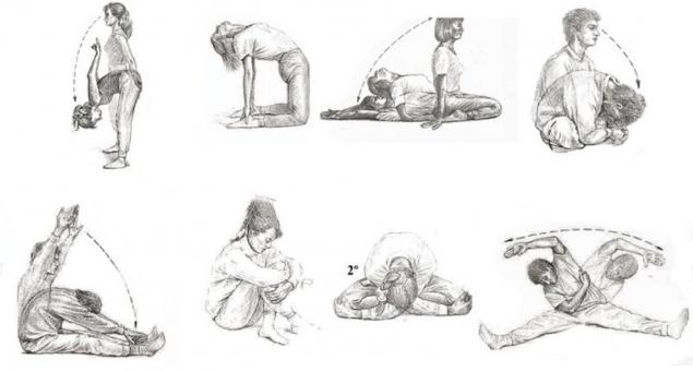 Makko Ho Übungen zur Meridian-Dehnung: Selbsthilfe und Shiatsu zur Förderung des Energieflusses (Qi) in Berlin.