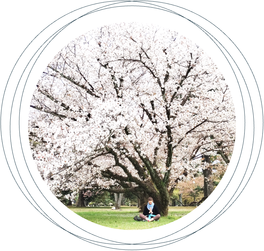 Sophia Wagner, Shiatsu Circle Berlin: Persönliche Begleitung in der Burgherrenstraße 11, Tempelhof.